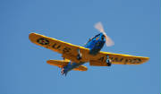DSC_6457.JPG